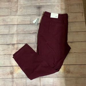 CJ Banks Knit Jeans Size 20W